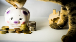 股票殖利率怎麼算？可以當成利息嗎？新聞上講的殖利率，為什麼不是我的真正殖利率？