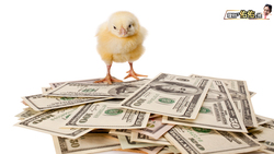 股神巴菲特為何大買國庫券？短債是什麼？6檔到期殖利率逾5%短債ETF大公開！