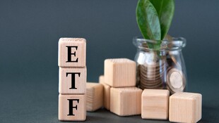 ETF百百款，股票型、債券型、商品型怎麼判別？《股魚教你一本搞懂ETF》：ETF代號和名稱藏端倪