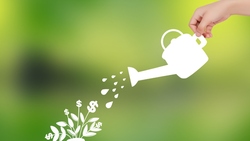 一文搞懂分紅保單5大新制