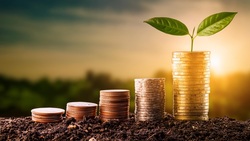 高殖利率銅板股》殖利率5%起跳、股息連發10年不停歇！7檔股價皆不到百元