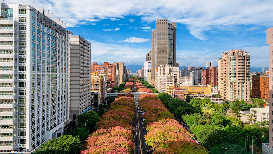 捷運房價漲跌》2024年9月，台北、新北捷運站周邊實價行情