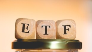 市值型ETF》0050、006208神級對決！報酬、殖利率、費用率等