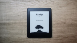 電子紙大廠元太，去年每股賺7.75元，擬配5元現金股利