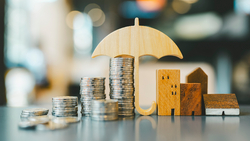   善用美元保單規劃，兼顧外幣投資與資產傳承