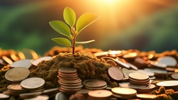 年輕人喜歡賺快錢、搶當「少年股神」？數據曝真相：多數年輕人偏愛定期定額