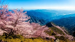 基隆-石垣島航線9月開航，最低票價比外傳的2000元還高！