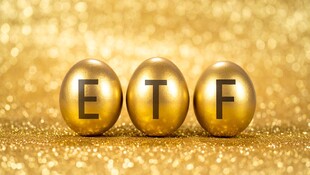 9家金控配息創新高！00878、00713…高股息ETF大吃補？這幾