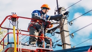 士電、中興電、亞力、華城...台美