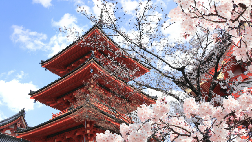 解鎖日本潛力股，開啟日企美元債的投資雙機會 柏瑞投信推出全日本的多重資產基金*8/11正式募集