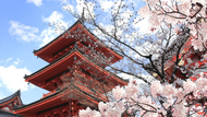 解鎖日本潛力股，開啟日企美元債的投資雙機會 柏瑞投信推出全日本的多重資產基金*8/11正式募集