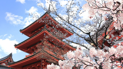   解鎖日本潛力股，開啟日企美元債的投資雙機會 柏瑞投信推出全日本的多重資產基金*8/11正式募集