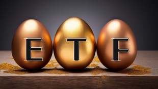 ETF人氣榜》0050晉升人氣三哥！00878、00731、0094