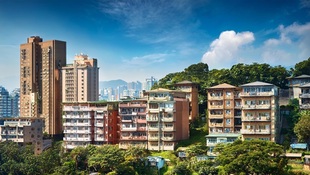 地王之子林鴻璋罕見現身　危機入市推140億案量