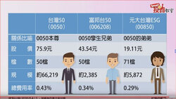 小資族買不起0050？股魚：這2檔兄弟股，其中1檔價格不到0050的3折！