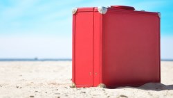 疫情衝擊、預約狂取消！日本郵輪業者Luminous聲請破產