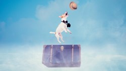 星宇航空登錄興櫃首日，早盤聚買氣最高一度25.2元