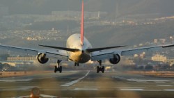 聯合航空CEO：今年營收僅去年一半 疫苗普及才有救