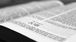 美國民間新增就業讚，中國全力防範化解規模性失業