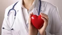 5張優質保單出列