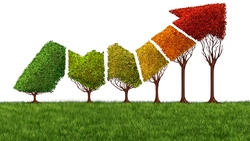 0050太貴買不下手？靠4個網站，免費找到超強基金